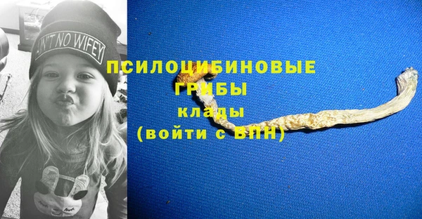 экстази Алексеевка