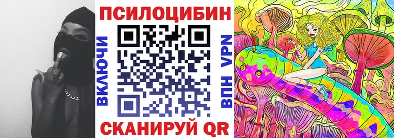 Галлюциногенные грибы Psilocybine cubensis  Новоаннинский 